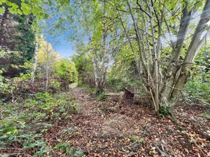 Photo 26- click for photo gallery